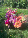 Flower Subscription