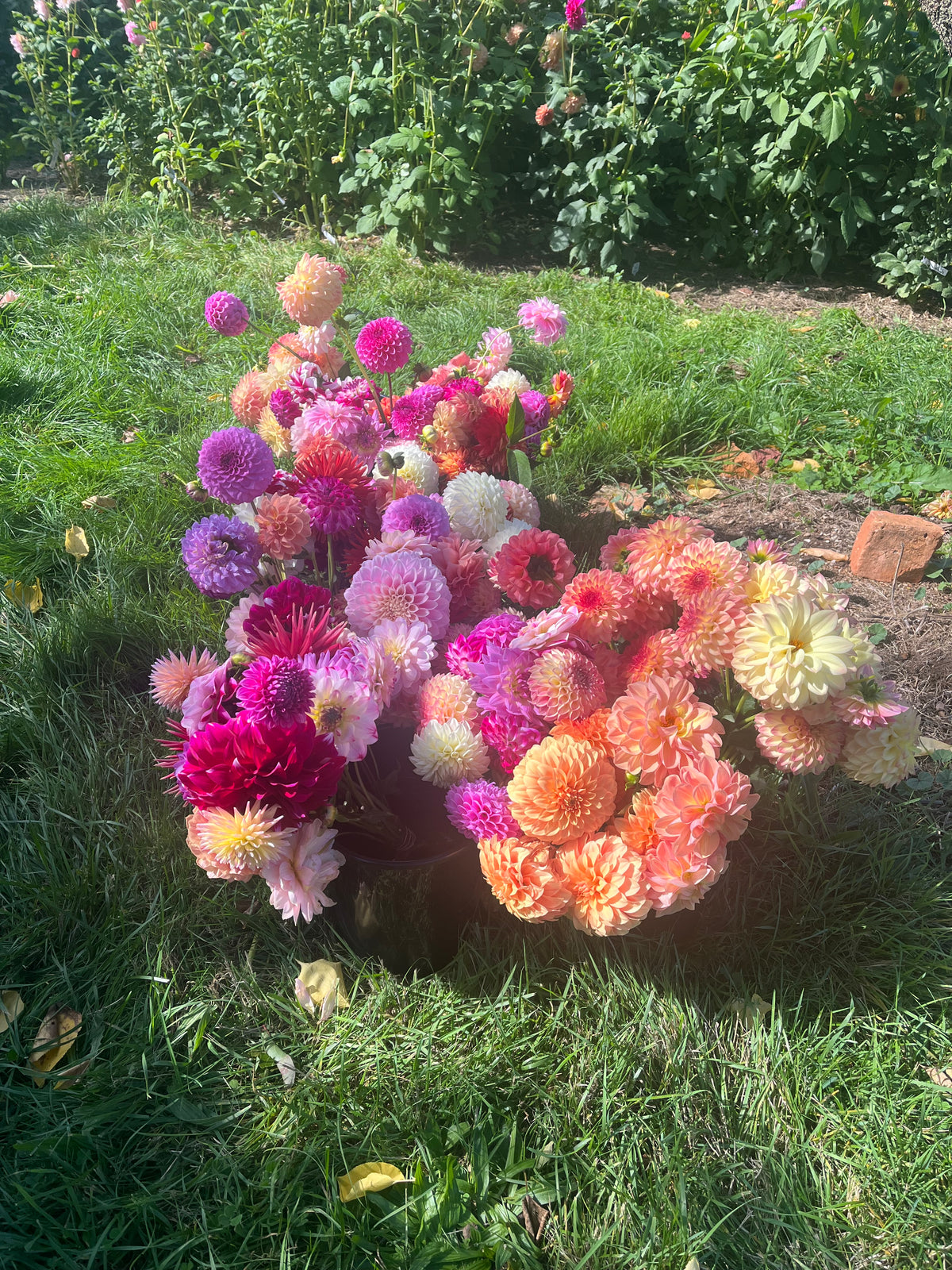Flower Subscription